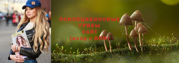 твердый Волоколамск