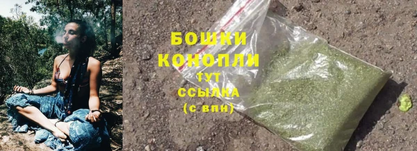 МДПВ Волосово