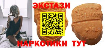 гидропоника Дубна