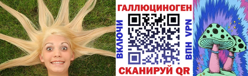 где найти наркотики  Назарово  Псилоцибиновые грибы прущие грибы 