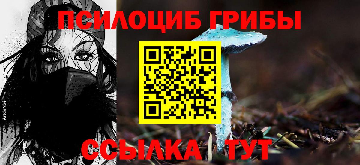 Галлюциногенные грибы MAGIC MUSHROOMS  Галлюциногенные грибы Cubensis  Вход с VPN  Назарово 