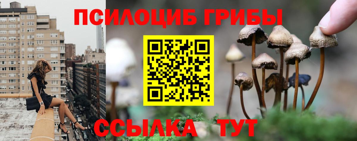 Галлюциногенные грибы MAGIC MUSHROOMS Назарово