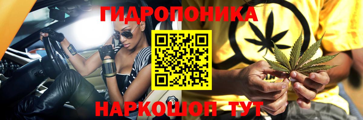 Каннабис план Назарово